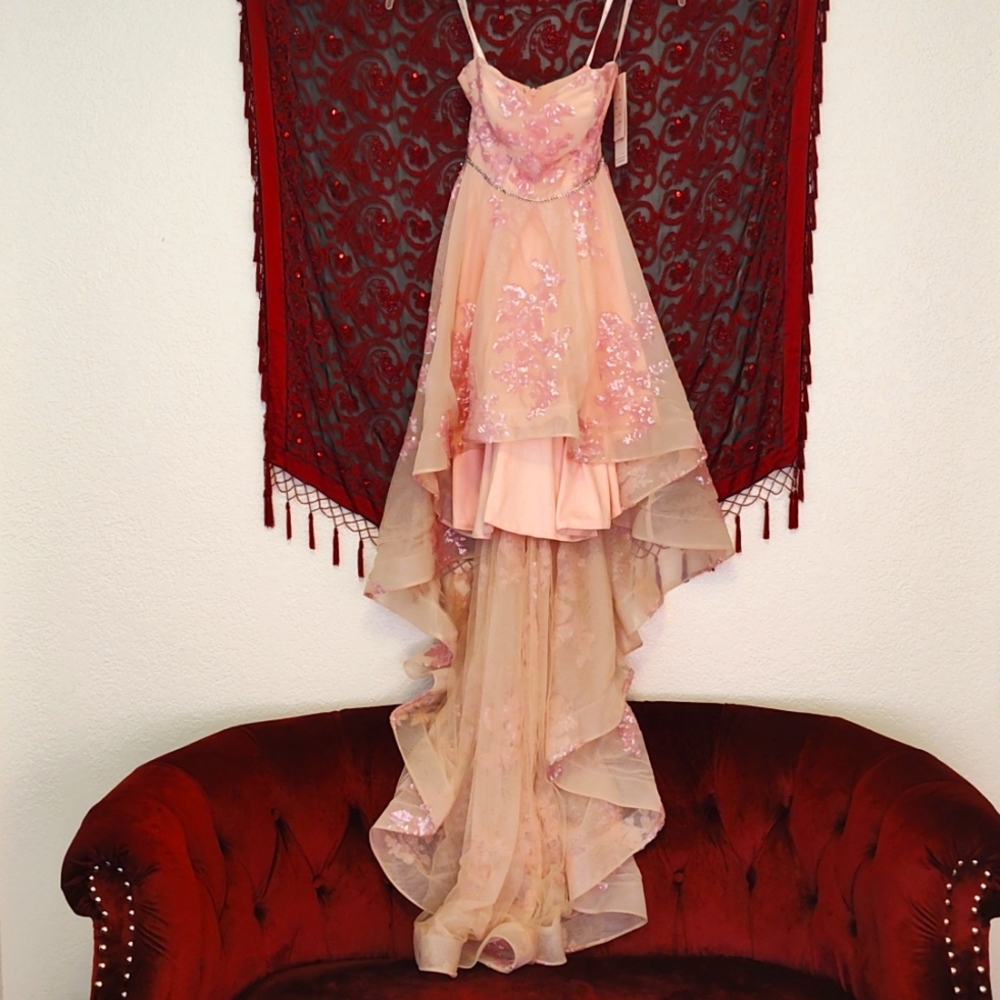 Zoey Grey 31265 Size 2 Color Pink/Nude